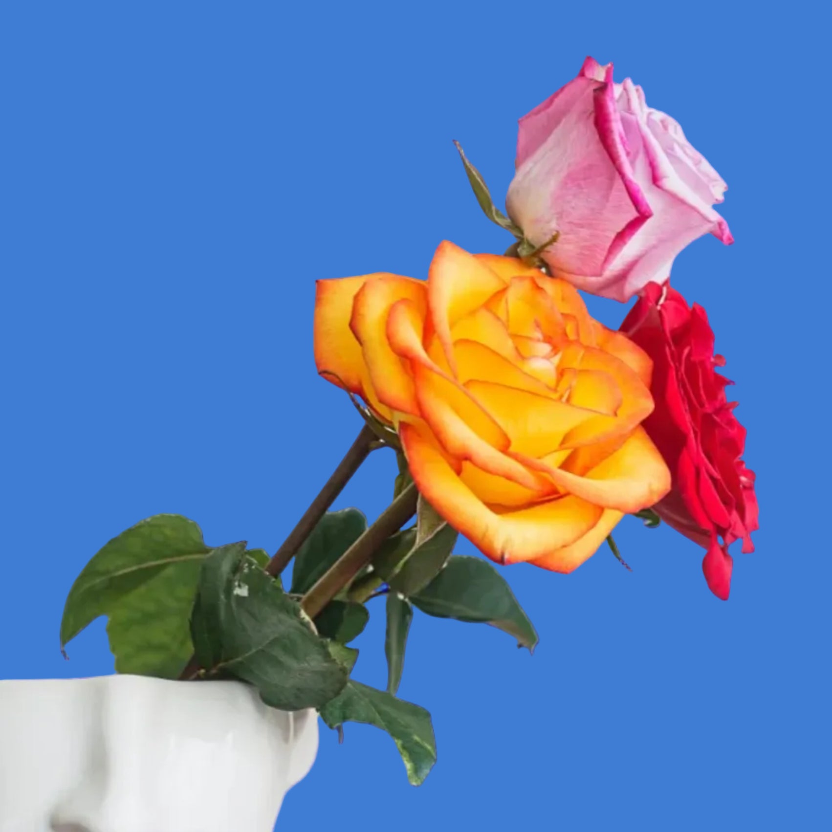 White marble bust with colorful roses against a blue background
